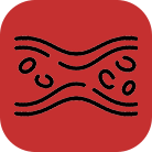 Produkt wspomagający krążenie krwi